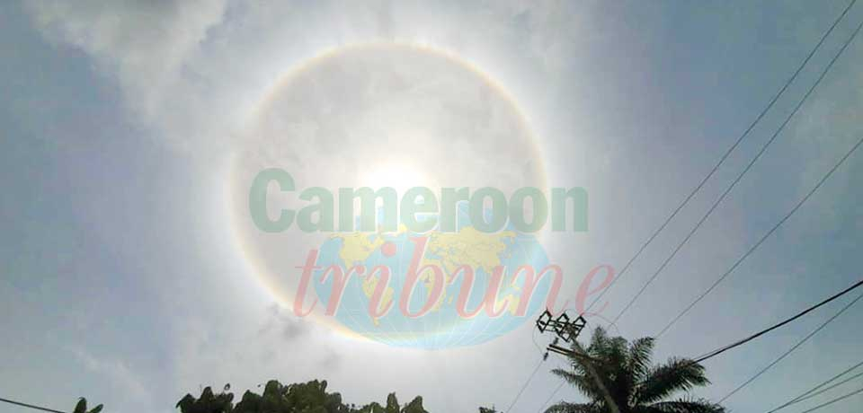 Phénomène météorologique : un halo autour du soleil Phénomène météorologique : un halo autour du soleil