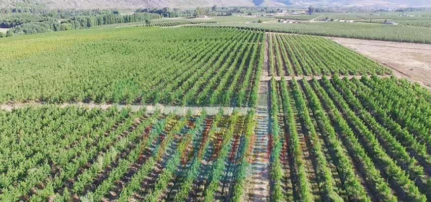 South Africa: Parliament Approves Land Reform Report South Africa: Parliament Approves Land Reform Report