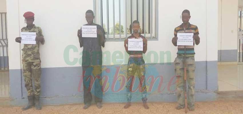 Prises d’otage dans l’Adamaoua : quatre suspects aux arrêts Prises d’otage dans l’Adamaoua : quatre suspects aux arrêts