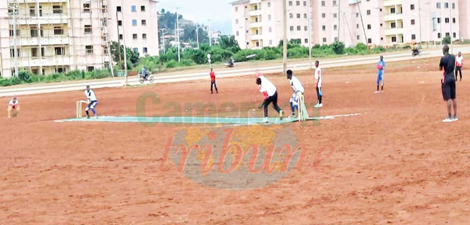 Cricket : Cup of Cameroon Finals This Weekend