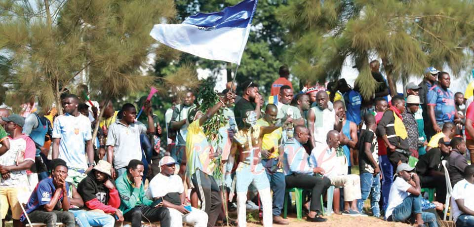 Violence in Stadiums: Several Contributing Factors Violence in Stadiums: Several Contributing Factors