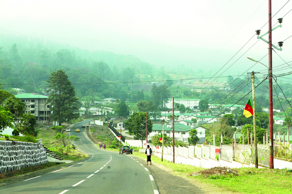 Reconstruction of War-torn Regions : Consultations Begin In Buea Today