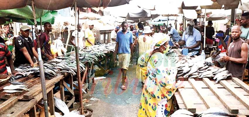 “Marché central” : Where Disorder Reigns !