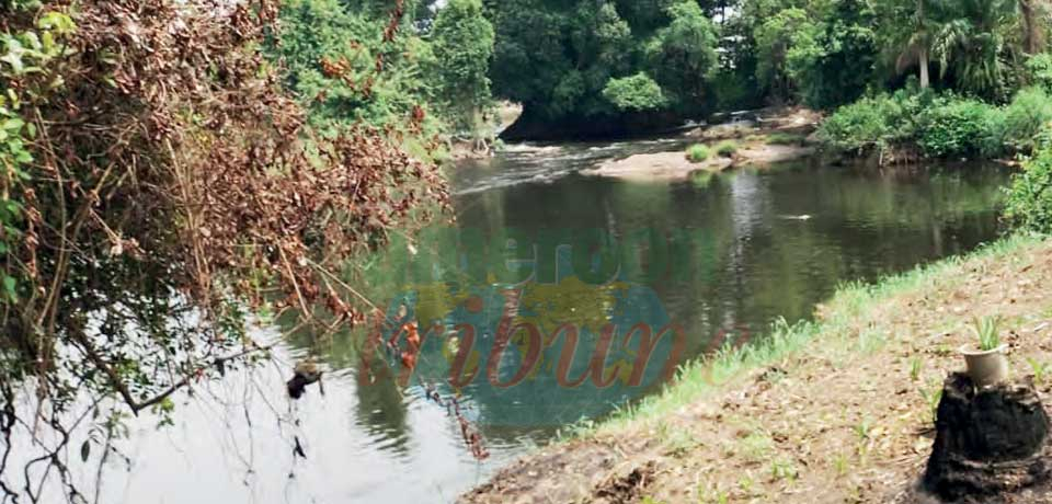 Kribi : cinq corps repêchés de la Kienké Kribi : cinq corps repêchés de la Kienké
