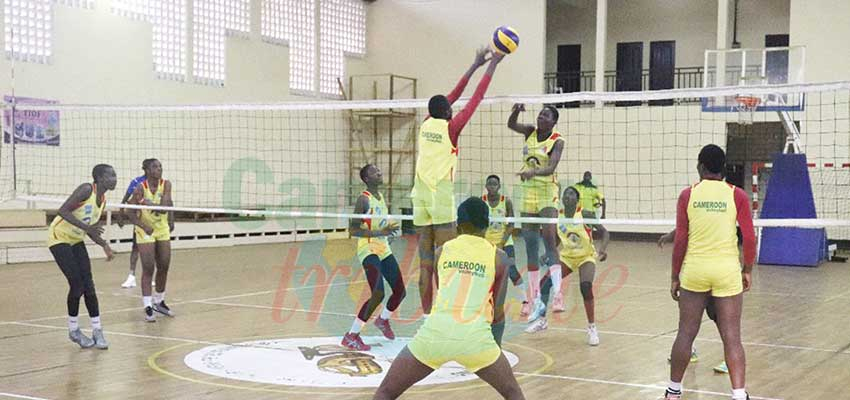 CAN volley-ball – U18 Filles : les Juniors intensifient leur préparation