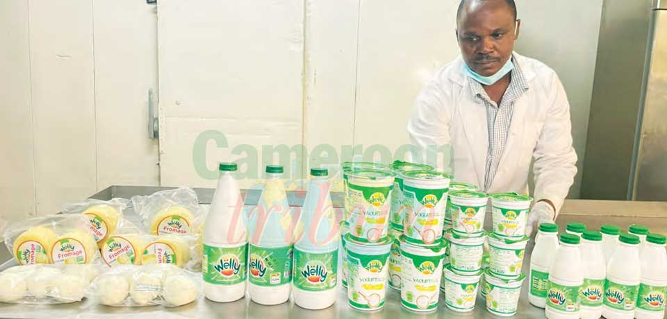 Filière laitière : le train du développement est lancé