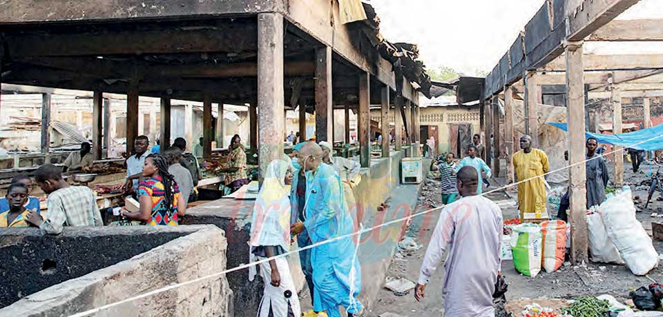 Logone-et-Chari : l’urgence d’une solution durable Logone-et-Chari : l’urgence d’une solution durable