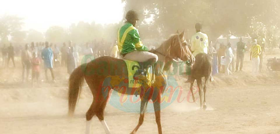 Gashiga : Horse Race To Entertain Visitors