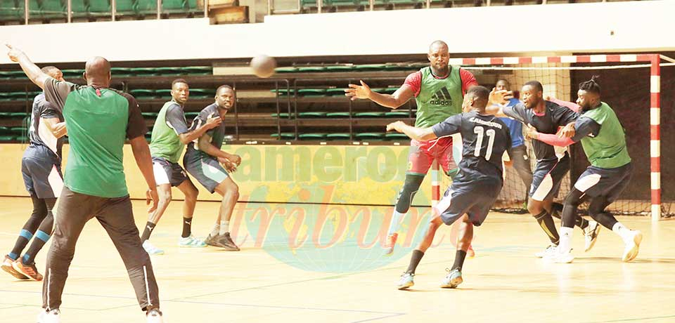 Men’s Senior Handball African Nations Cup : Lions Train In Tunisia