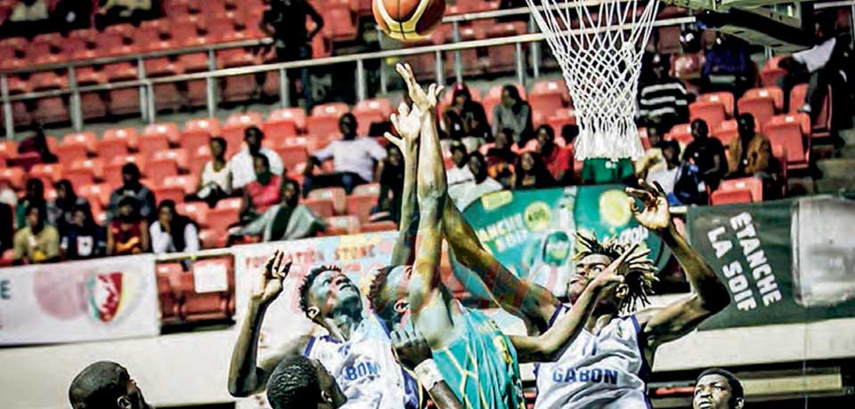 FIBA AfroCAN Angola 2023 : voici les Lions A’ présélectionnés