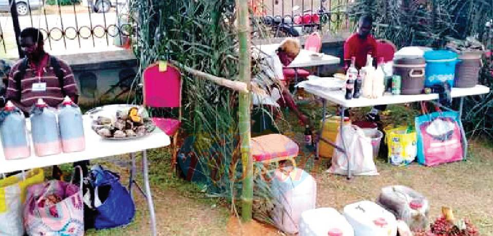 Ngand Biton: Palm Nuts Festival To Show Case Prowess