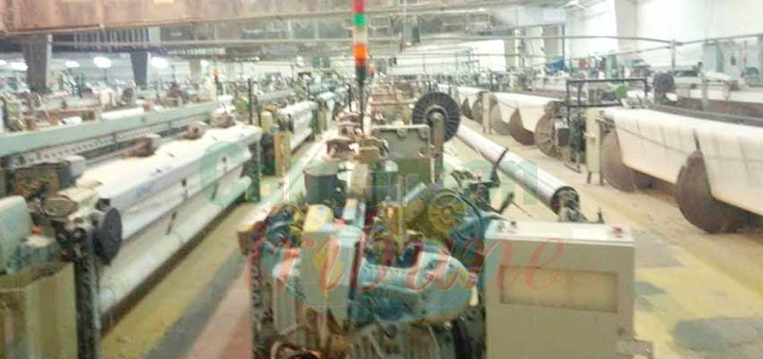 Garoua : l’usine Cicam au ralenti Garoua : l’usine Cicam au ralenti