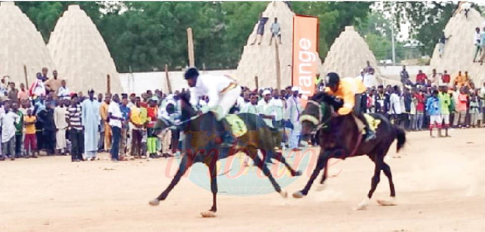 Grand Pr ix équestre du Sahel 2026: L’Observateur d’Alfa Alioum s’impose