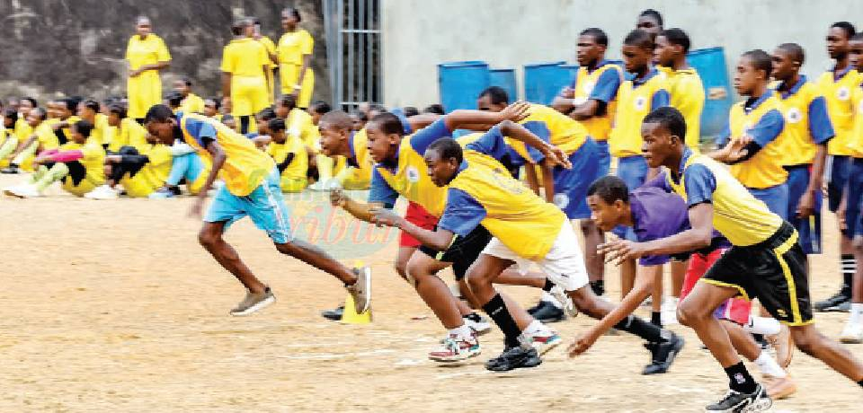 Brevet d’études du premier cycle: Le sport pour démarrer