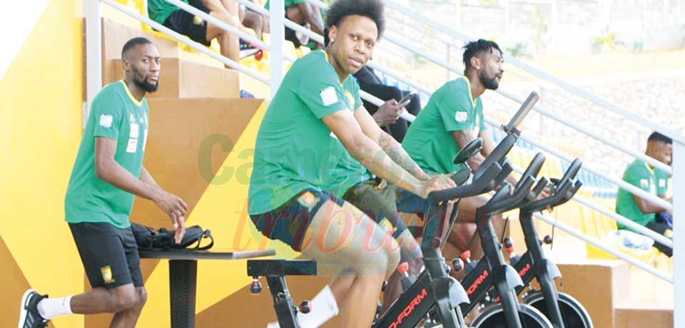 Lions indomptables : les entraînements ont repris