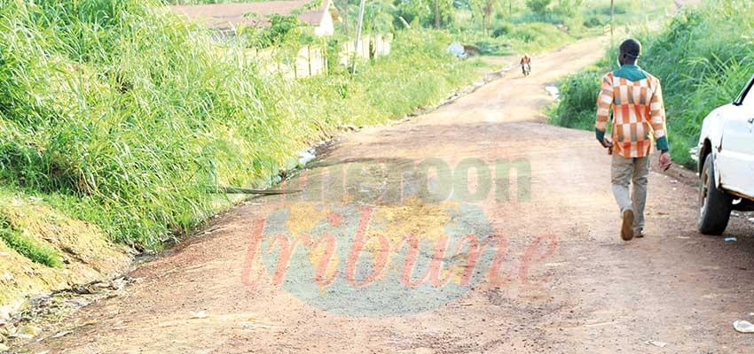 Route Ebolowa-Kribi, par Akom II : bientôt, le début des travaux