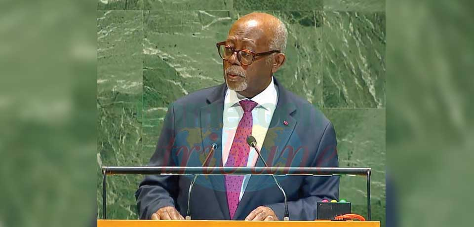 International Peace, Security: President Paul Biya Reaffirms Commitment