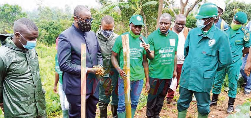 Université de Dschang : un jardin botanique créé