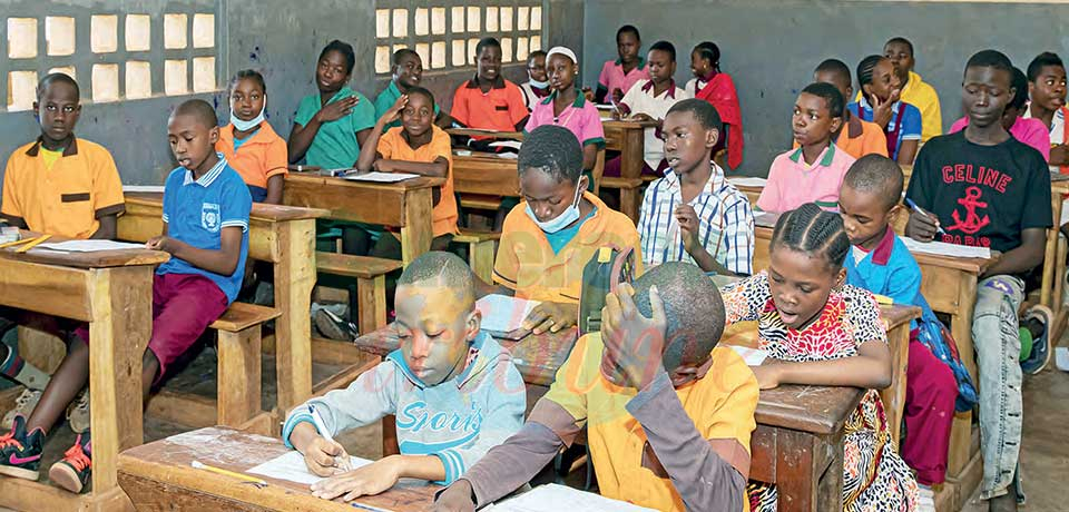 Alimentation scolaire : quatre régions servies Alimentation scolaire : quatre régions servies