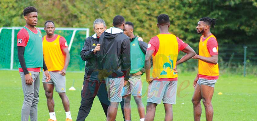 Cameroon-Japan Friendly: Indomitable Lions Earmark Strategies