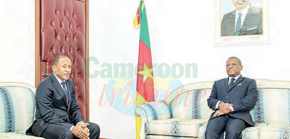 Cameroun – République démocratique du Congo : la coopération bilatérale examinée