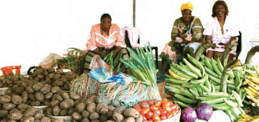 Produits alimentaires et autres services : l’inflation maîtrisée