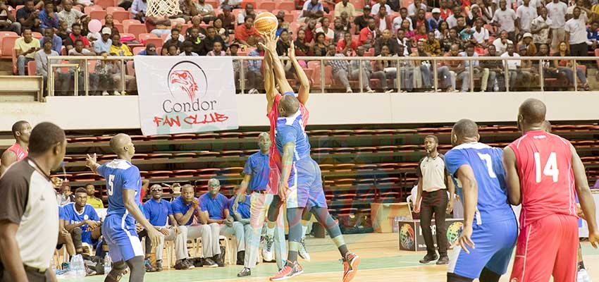 Championnats de basketball : le dernier carré