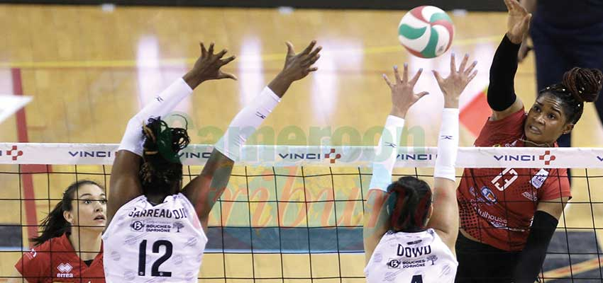 Volley-ball : l’affiche des Camerounais de France