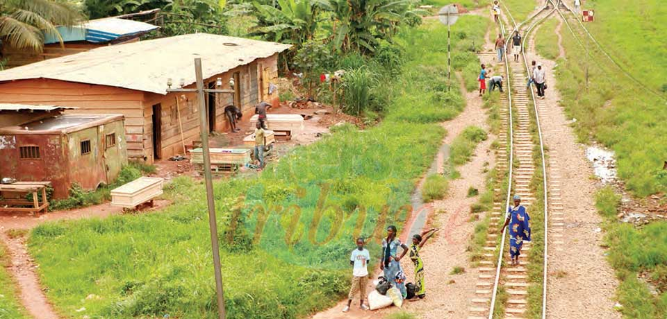 Ligne ferroviaire Belabo-Ngaoundéré : la France va apporter son appui