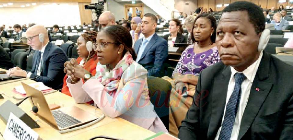 77e Session du Comité exécutif du HCR: Le Cameroun appelle à une solidarité accrue