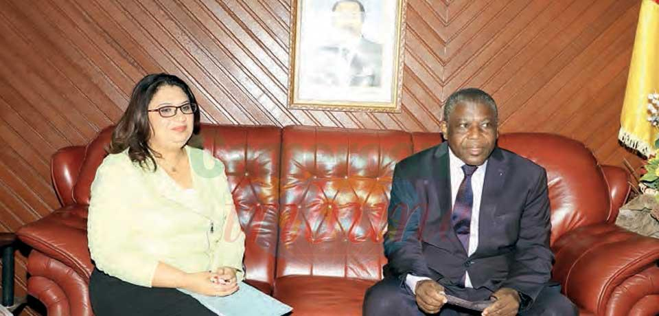 Cooperation Cameroun-Egypte : on parle développement