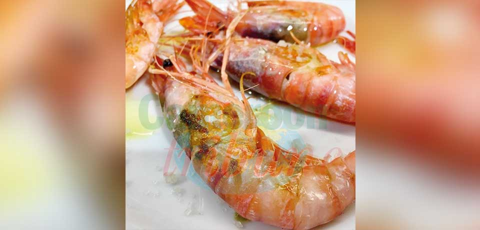 Gambas : des prix en baisse