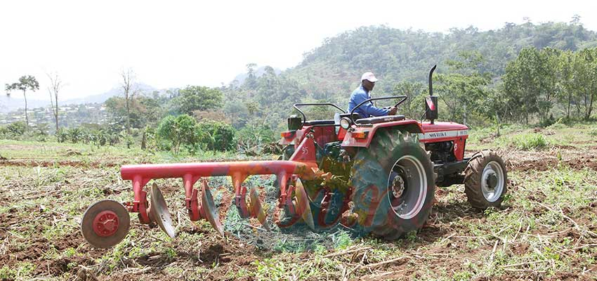 Chocs économiques liés au Covid-19 : le Cameroun résiste bien