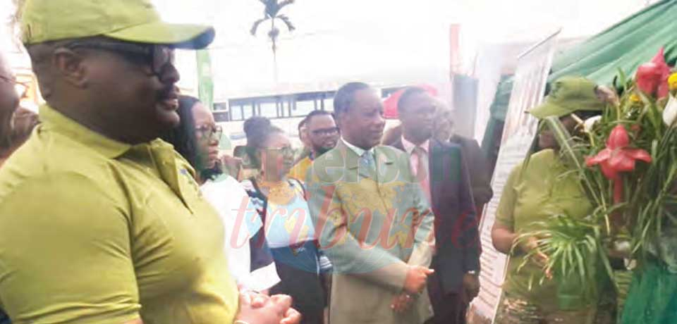 Orientation académique et professionnelle: Yaoundé II en mode ouverture Orientation académique et professionnelle: Yaoundé II en mode ouverture