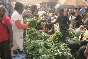 Journée mondiale de l’alimentation: le Cameroun n’aura pas faim