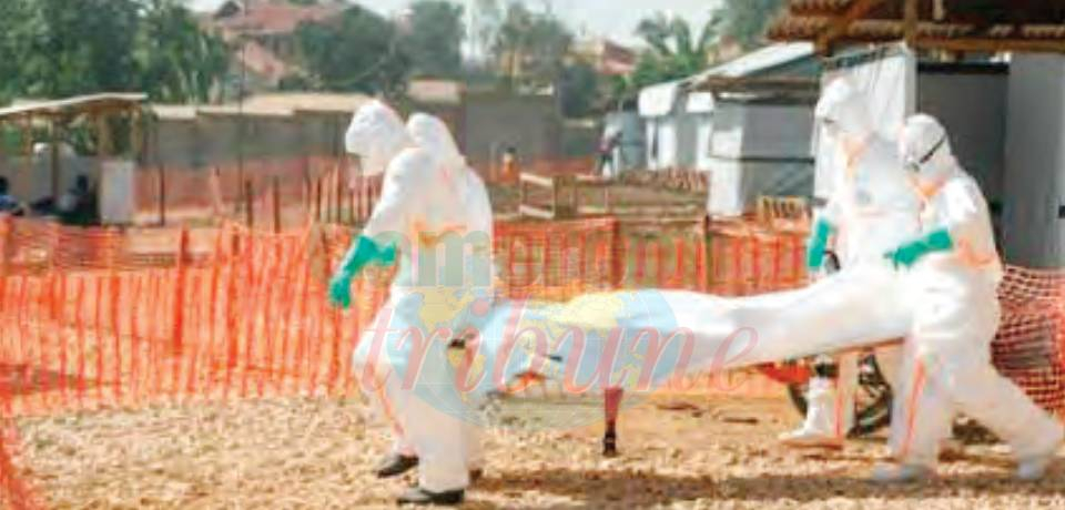 Ebola en Ouganda et en RDC: Déjà plus de 1000 morts
