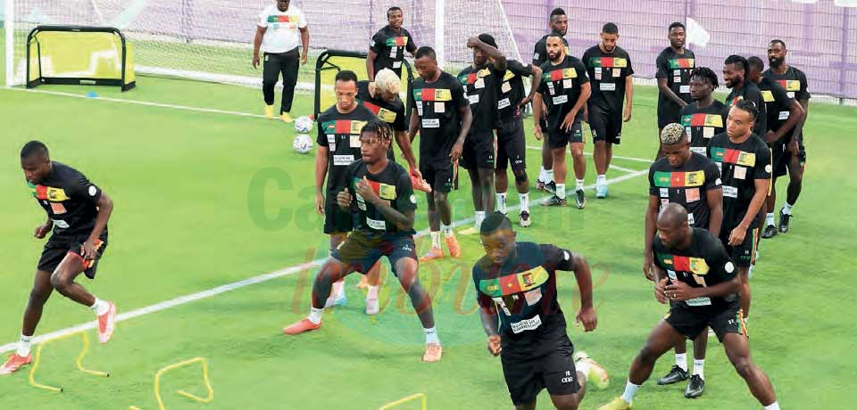 Mise en condition : les Lions au petit trot