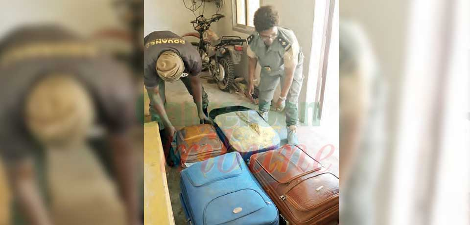 Lutte contre le commerce illicite : des marchandises saisies