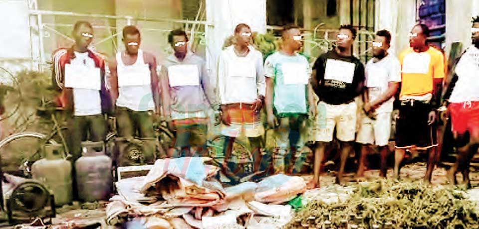 Drogue : 11 suspects aux arrêts Drogue : 11 suspects aux arrêts