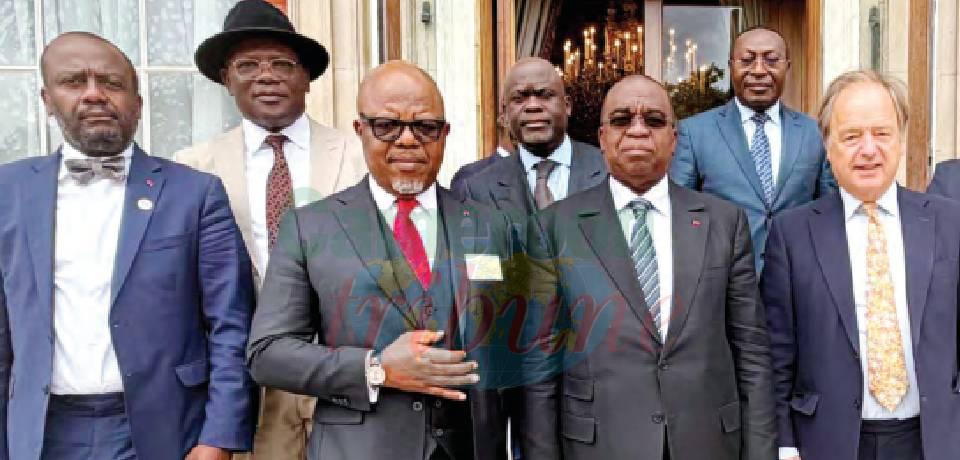 National Fund Raising Prospects: Cameroon Courts International Investors