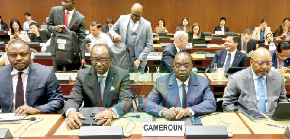 Reporting financier au Cameroun: L’accompagnement des Nations unies sollicité