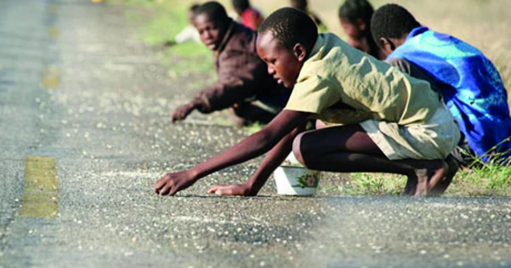 Zimbabwe : IMF Calls For Urgent Aid Zimbabwe : IMF Calls For Urgent Aid