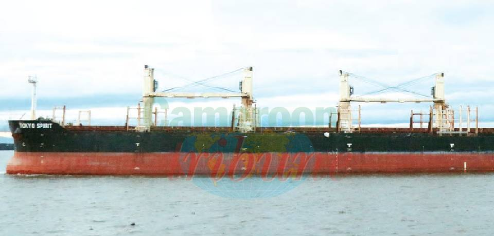 Transport maritime: Des navires radiés du pavillon camerounais