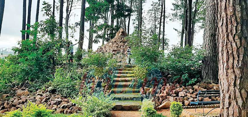 Bois de Mardock de Ngaoundéré :  un jardin envoûtant