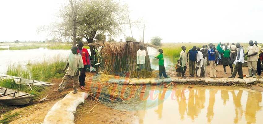 L’an I de ce septennat n’est pas de tout repos pour Paul Biya. Ici le drame des inondations à l’Extrême Nord.