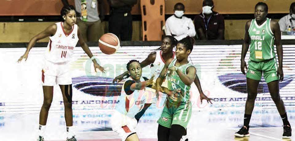Afrobasket dames 2023 : 15 joueuses présélectionnées