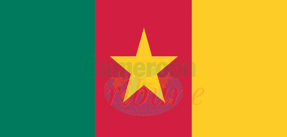 Méprise sur le drapeau du Cameroun : scandaleux !