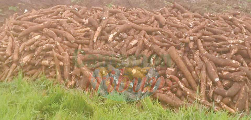 Production de farines panifiables :  on passe à la vitesse supérieure