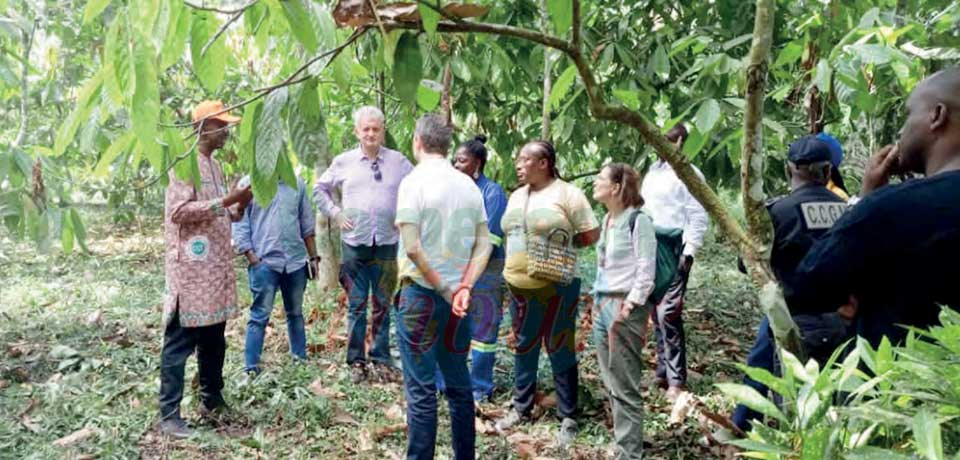 Jean-Marc Chataigner ambassadeur chef de délégation s’est rendu le 26 janvier dernier à Nguinda, localité située dans le département de la Haute-Sanaga.