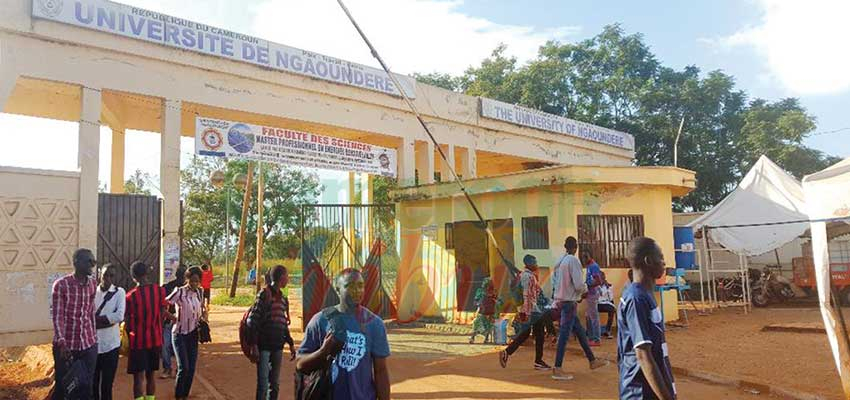 Université de Ngaoundéré :   près de 30 000 « cop’s » dans les amphis